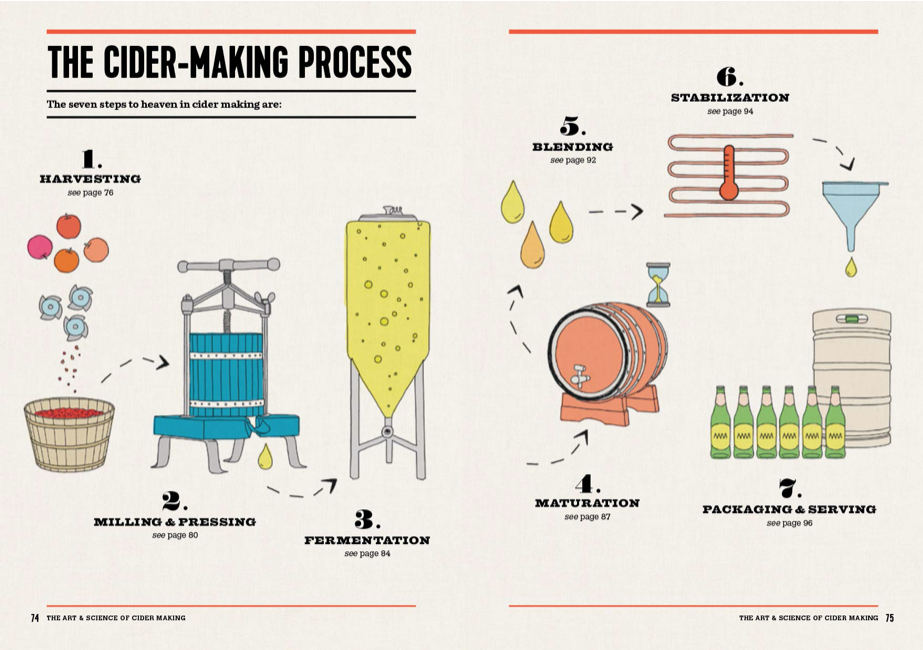 The Fermentation Process