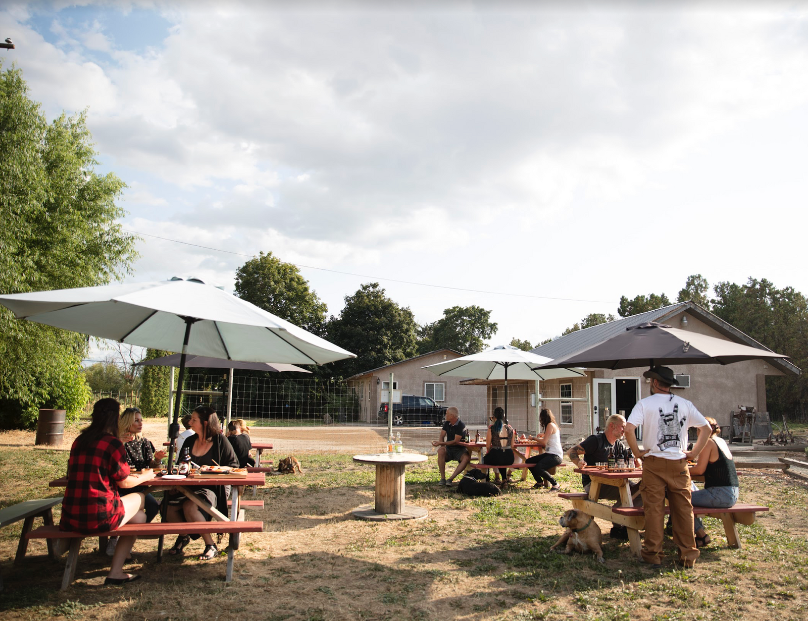 Get Ready For a Taste!